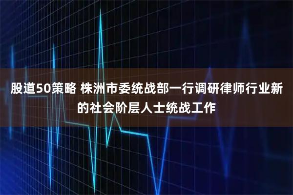 股道50策略 株洲市委统战部一行调研律师行业新的社会阶层人士统战工作