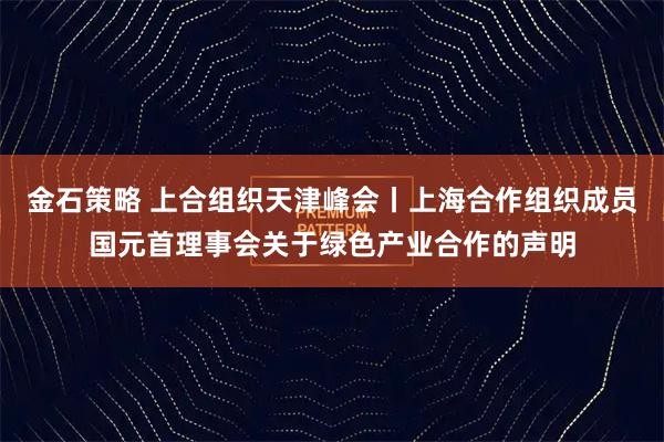 金石策略 上合组织天津峰会丨上海合作组织成员国元首理事会关于绿色产业合作的声明
