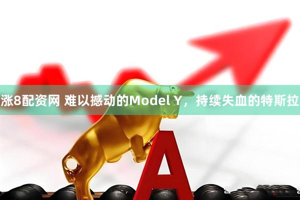 涨8配资网 难以撼动的Model Y，持续失血的特斯拉